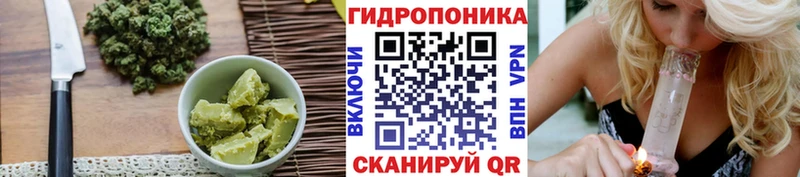 блэк спрут маркетплейс  Апатиты  Cannafood конопля 