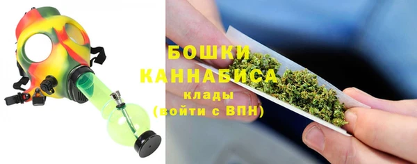 индика Нефтекумск