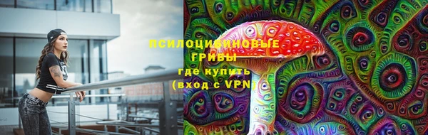 индика Нефтекумск