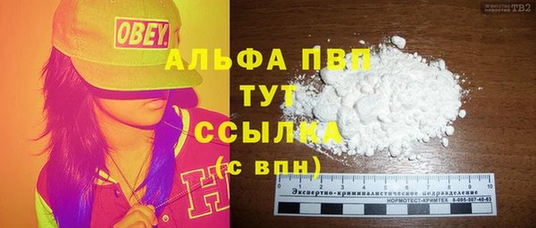 индика Нефтекумск