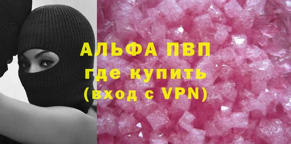 индика Нефтекумск