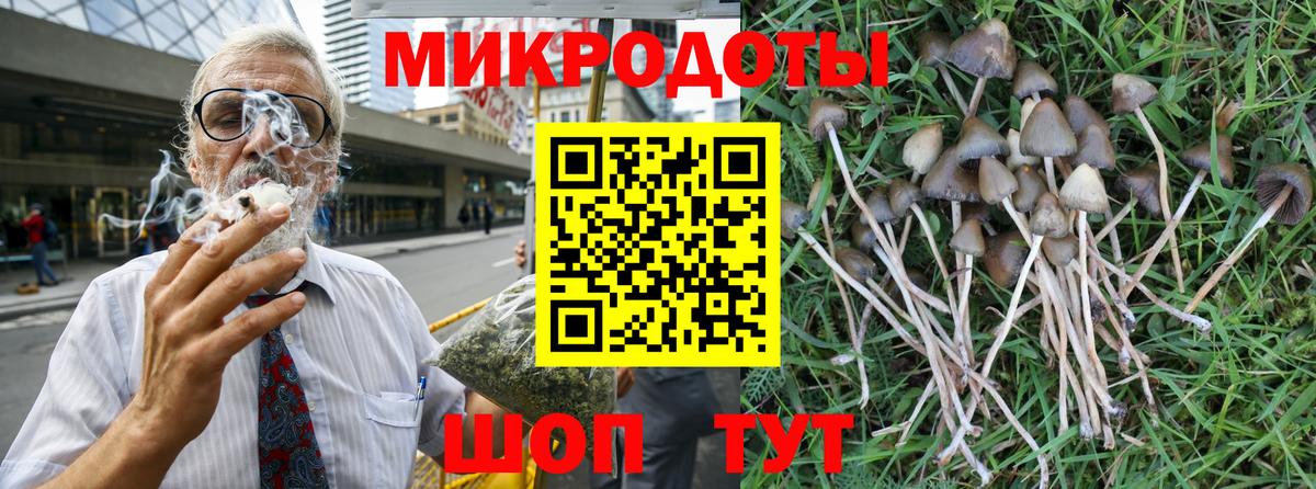 магазин продажи   Галлюциногенные грибы Cubensis  Апатиты  Псилоцибиновые грибы Psilocybe 