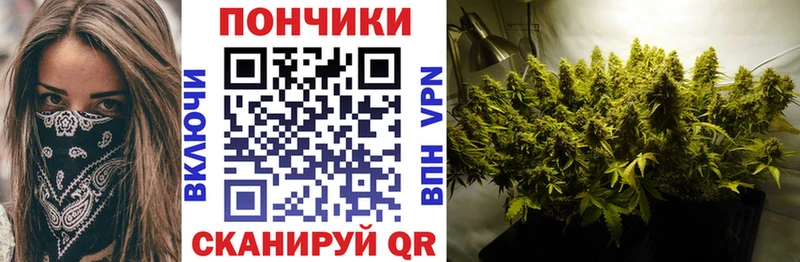 Бошки марихуана индика  где продают   Апатиты 